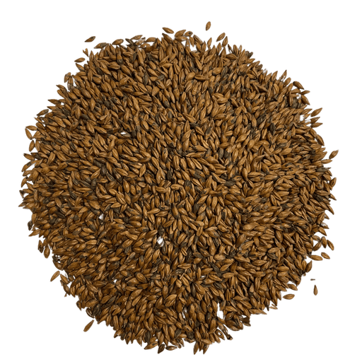 Image of Castle Malting Château Café Malt for adding distinct coffee flavor and aroma in beers, grain in circular shape.