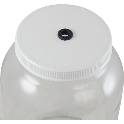 Glass Jar Fermenter Kit | 1 Gallon | Plastic Lid | Airlock