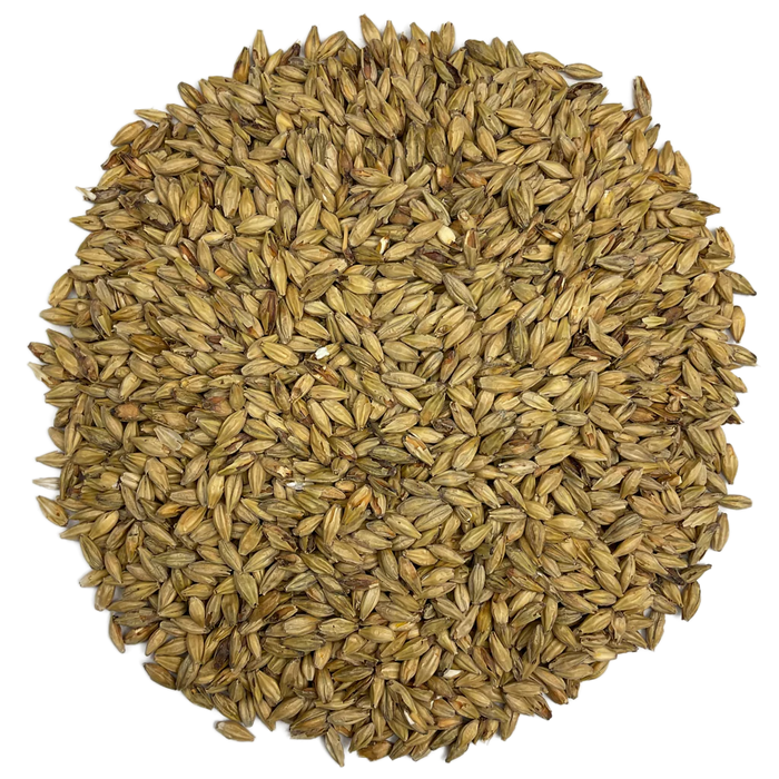 Gambrinus Gambrinus Honey Malt – Top-Down View Showing Overall Grain Color