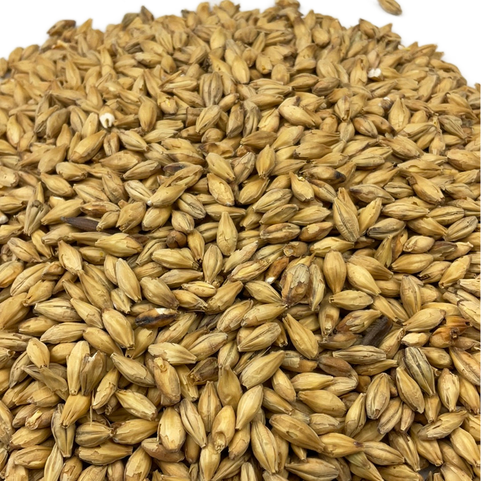 Weyermann® Beech Smoked Malt