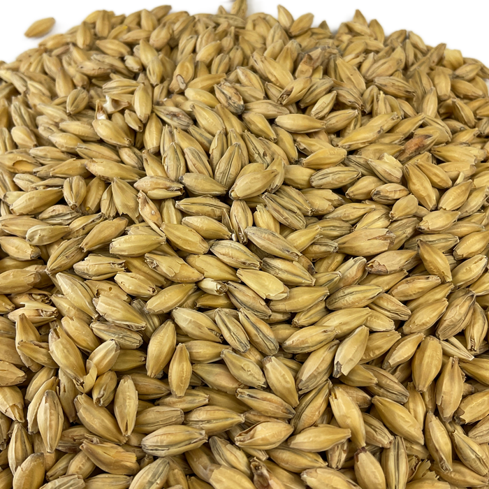 Gambrinus Pale Ale (2-Row) Malt