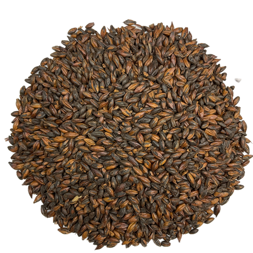 Briess Briess Chocolate Malt – Top-Down View Showing Overall Grain Color