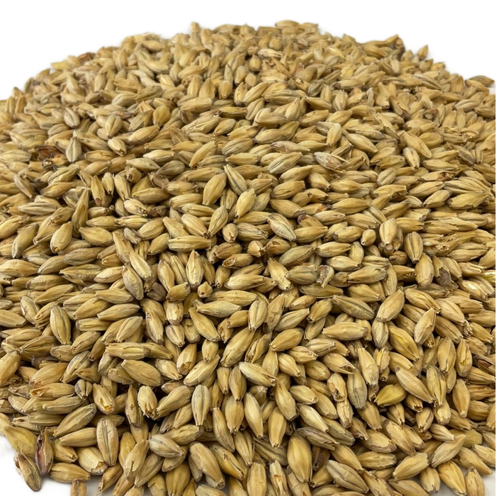 Weyermann® Isaria 1924® Malt