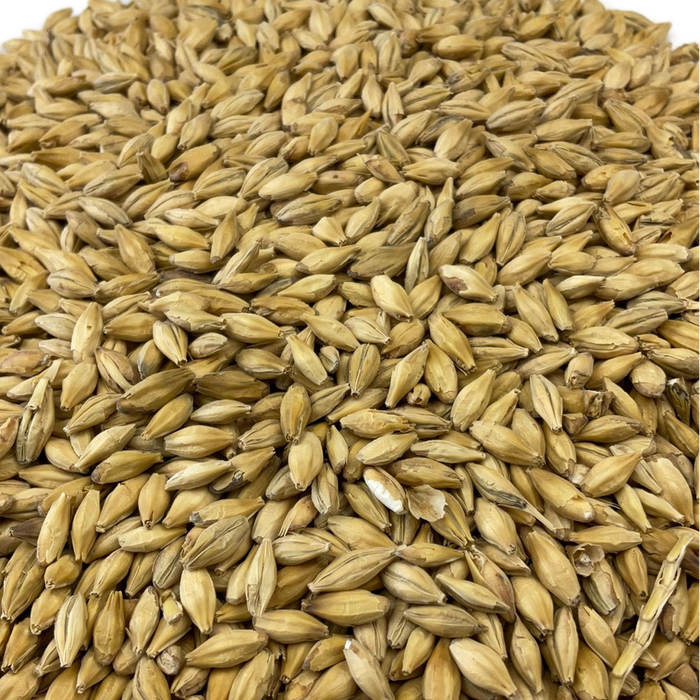 Weyermann® BIOLAND Organic Pilsner Malt