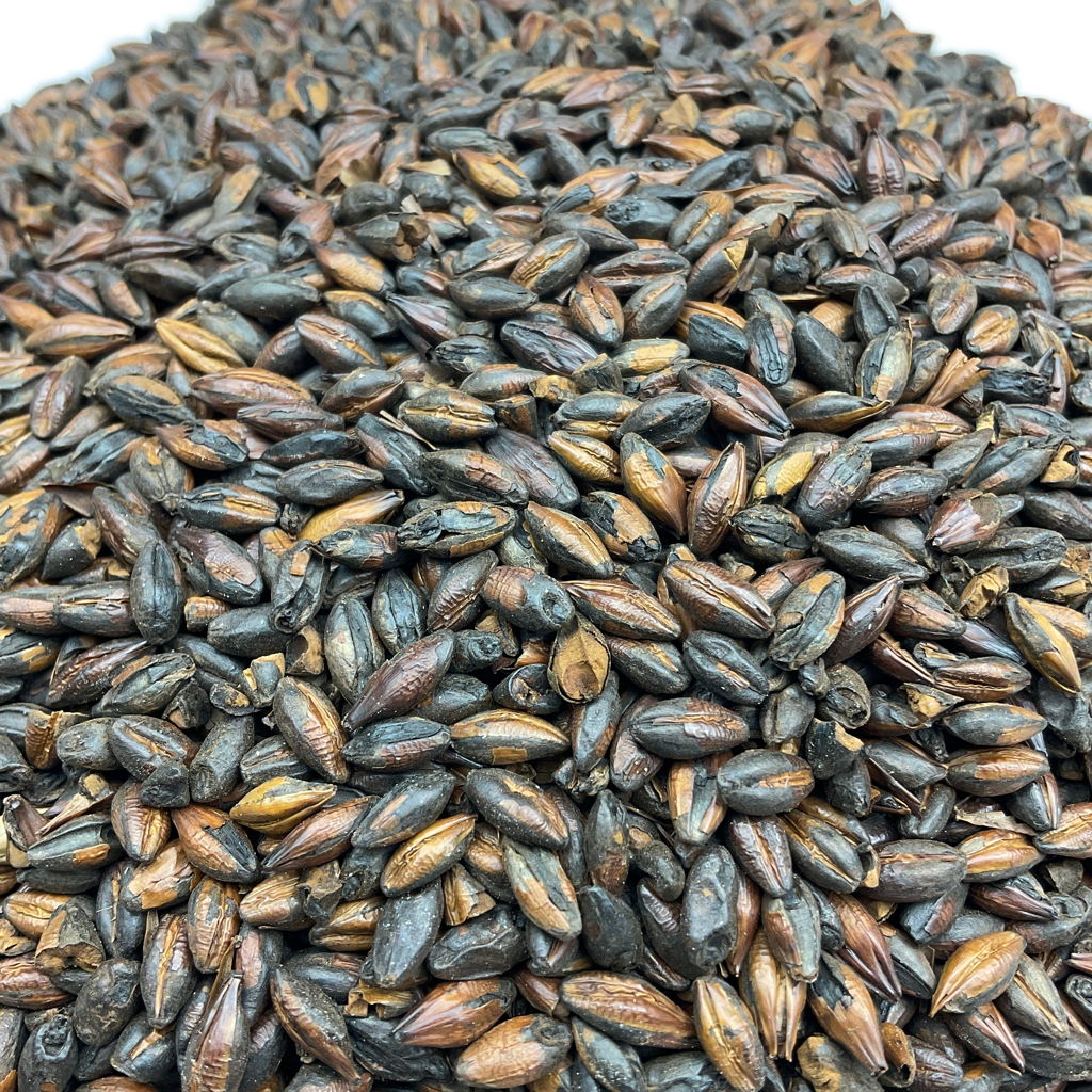 Close up view of American Chocolate Malted Grain from Briess