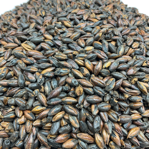 Briess Briess Chocolate Malt – Close-Up View Showing Detailed Grain Texture