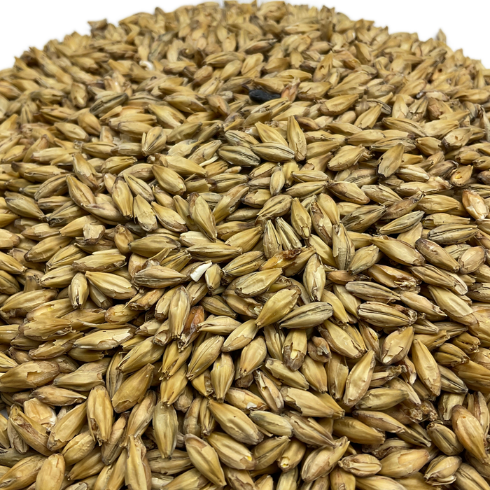 Rahr Old World Pilsner Malt