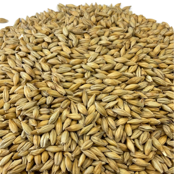 Weyermann® CARAFOAM® Malt