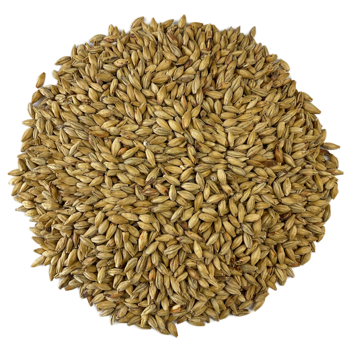 Weyermann® Munich Type 2 Malt