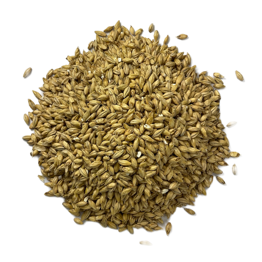 Circular pile of American Pilsen Malted Grain from Briess