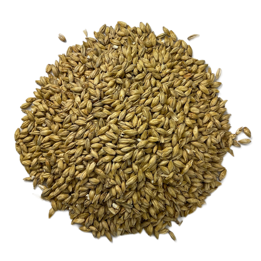 Briess Briess 2-Row Brewer's Malt – Top-Down View Showing Overall Grain Color