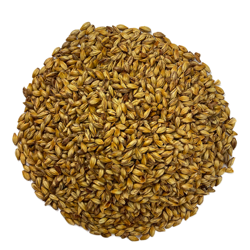 Briess Briess Caramel 40L Malt – Top-Down View Showing Overall Grain Color