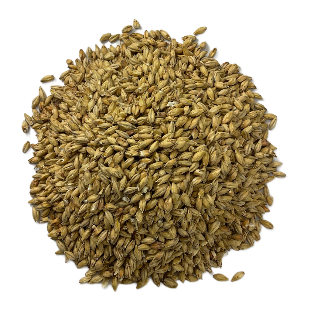 Circular pile of American 2-Row Pale Ale Malted Grain from Briess