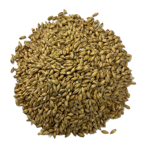 Briess Briess 2-Row Pale Ale Malt – Top-Down View Showing Overall Grain Color