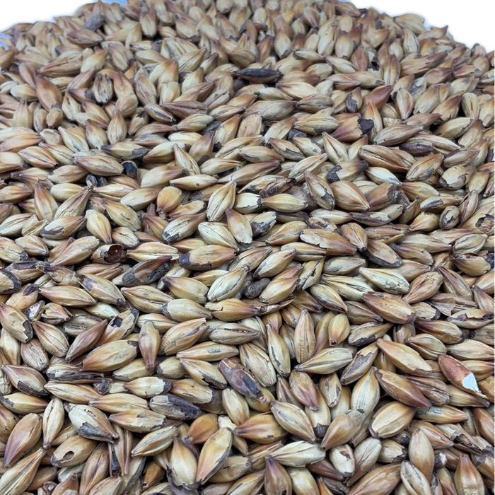 Weyermann® CARAMUNICH® Type 3 Malt