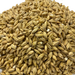 Close up view of American Pilsner Malted Grain from Briess