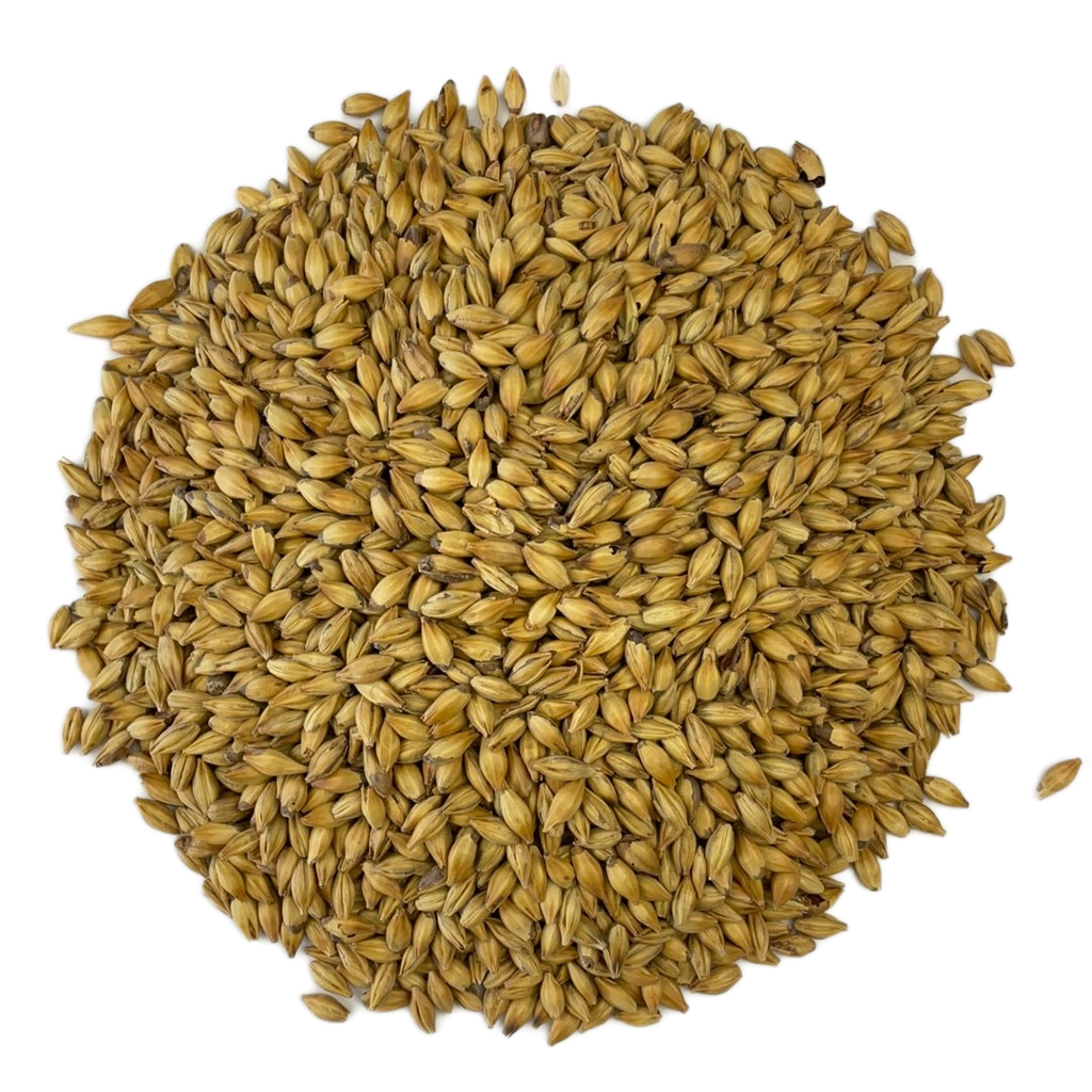 Simpsons Premium English Caramalt | Crystal Malt