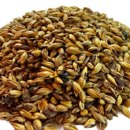 Briess Briess Caramel 60L Malt – Close-Up View Showing Detailed Grain Texture