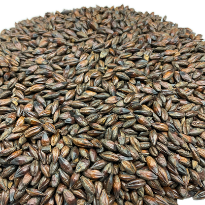 Briess Roasted Barley