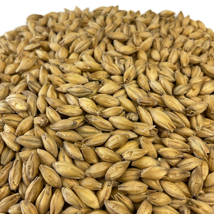 Crisp Scottish Pale Ale Malt