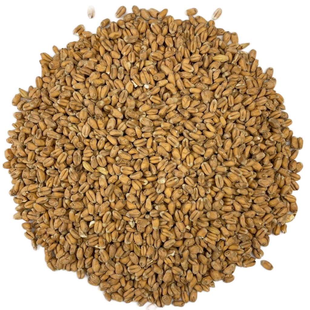 Weyermann® Oak Smoked Wheat Malt - 1 oz.