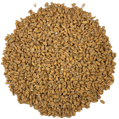 Weyermann Oak Smoked Wheat Malt