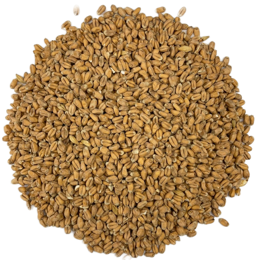 Weyermann Oak Smoked Wheat Malt