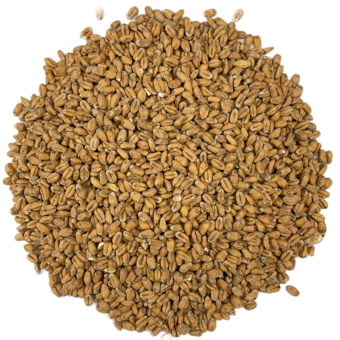 Weyermann® Oak Smoked Wheat Malt