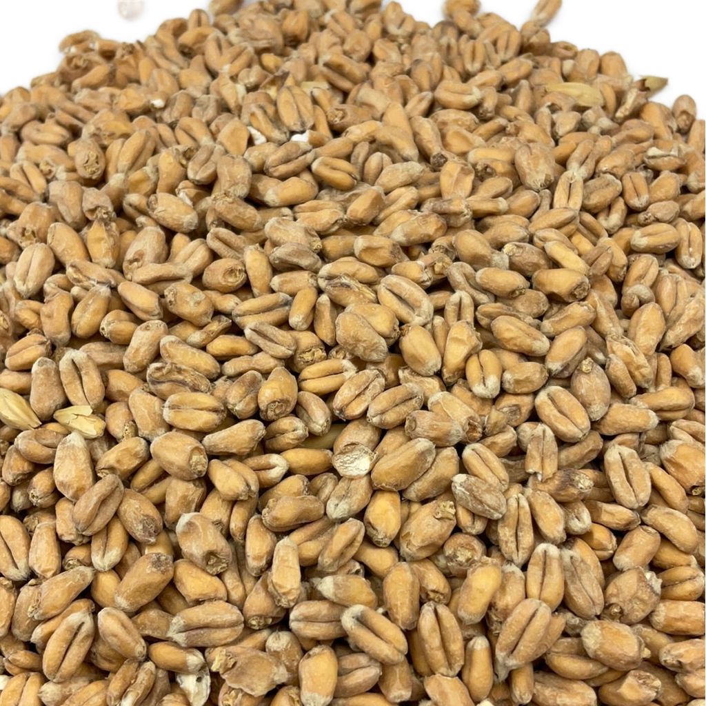 Weyermann® Oak Smoked Wheat Malt - 1 oz.