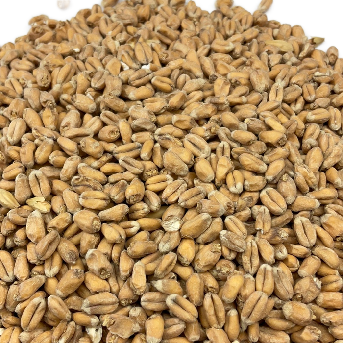 Weyermann® Oak Smoked Wheat Malt