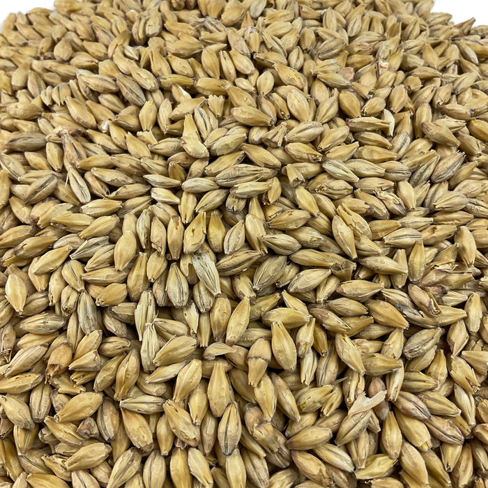 Weyermann® Barke® Pilsner Malt