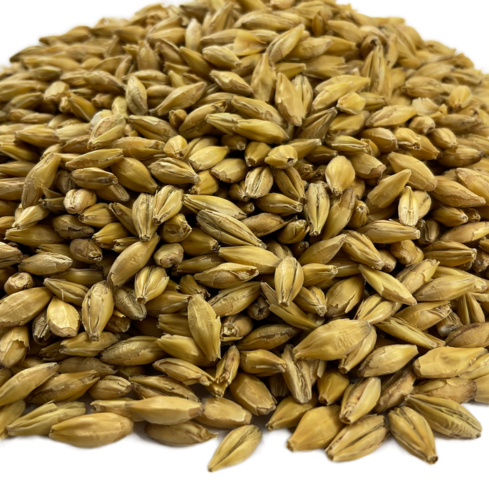 Rahr Dextrin Malt