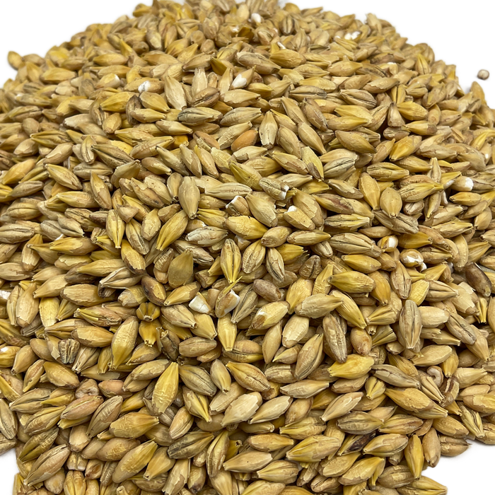 Weyermann® Acidulated Malt