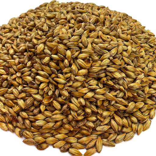 Briess Briess Caramel 40L Malt – Close-Up View Showing Detailed Grain Texture