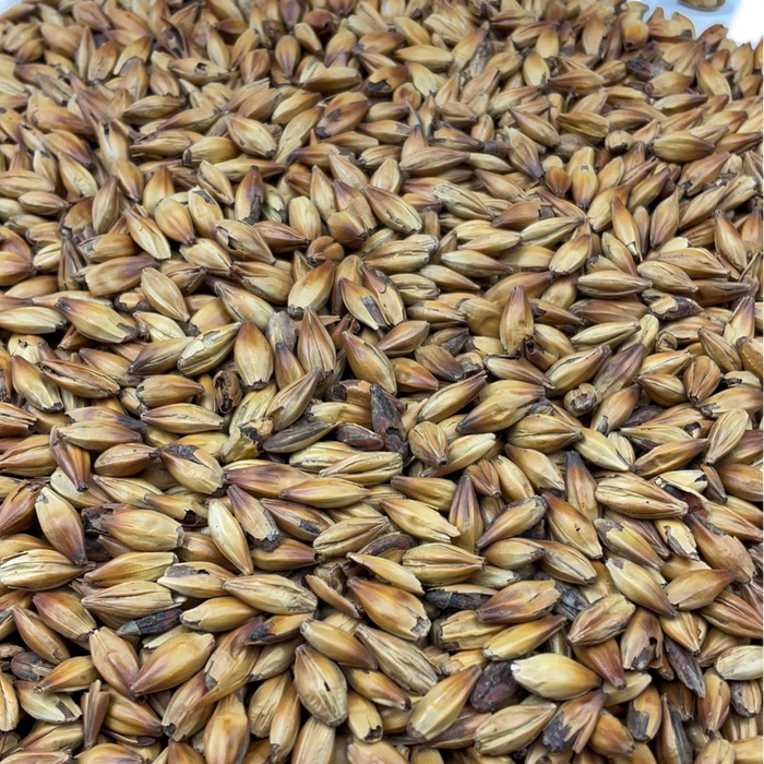 Weyermann® CARABOHEMIAN® Malt