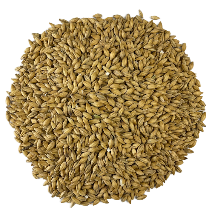 Gambrinus Pilsner Malt