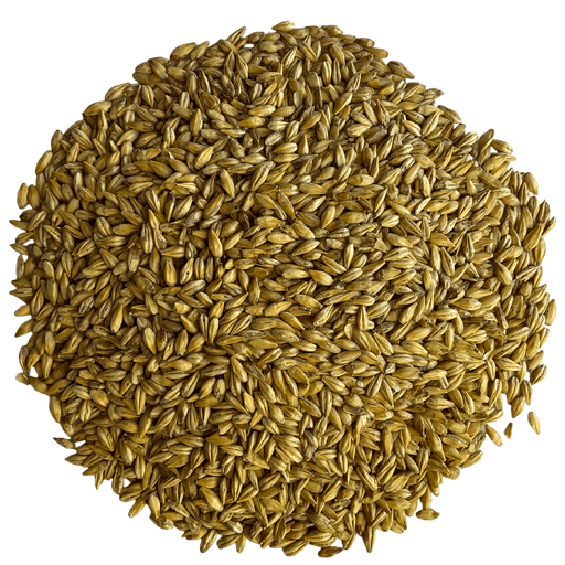 Briess Briess Caramel 10L Malt – Top-Down View Showing Overall Grain Color