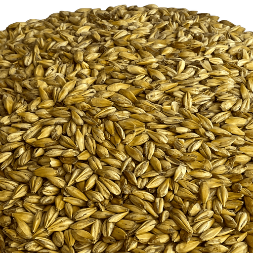 Briess Briess Caramel 10L Malt – Close-Up View Showing Detailed Grain Texture