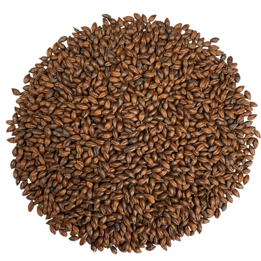 Crisp Crisp Chocolate Malt – Top-Down View Showing Overall Grain Color