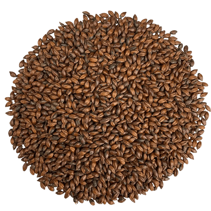 Crisp Crisp Chocolate Malt – Top-Down View Showing Overall Grain Color