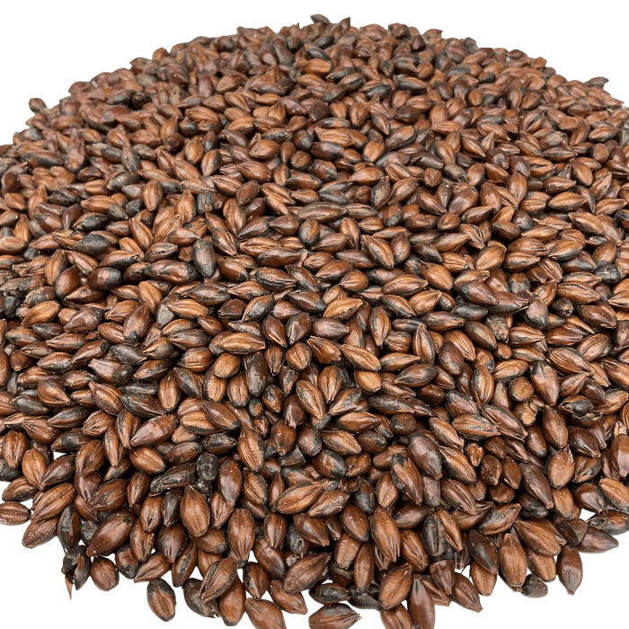 Crisp Crisp Chocolate Malt – Close-Up View Showing Detailed Grain Texture