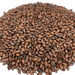 Crisp Crisp Chocolate Malt – Close-Up View Showing Detailed Grain Texture