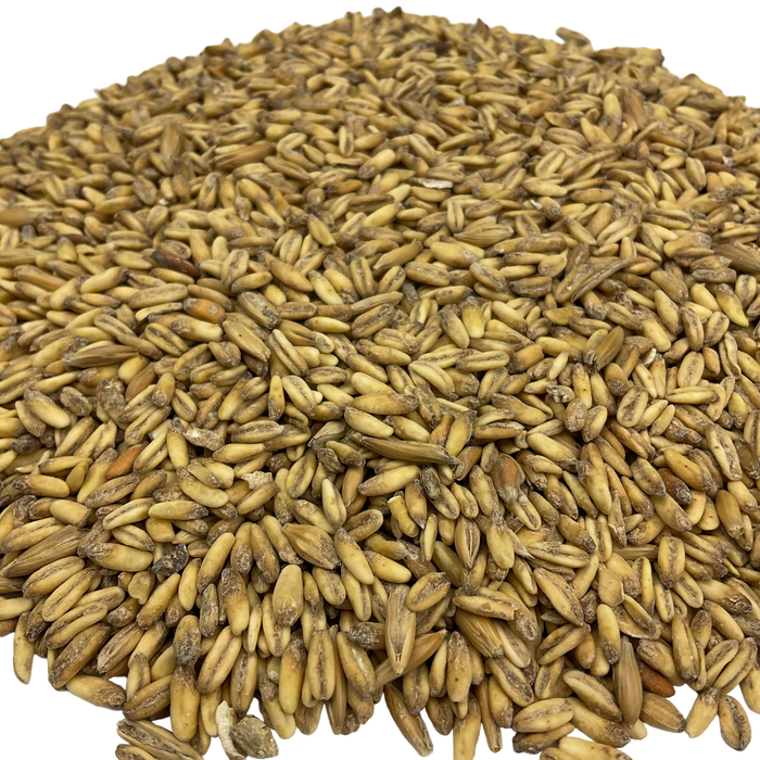 Crisp Naked Oat Malt