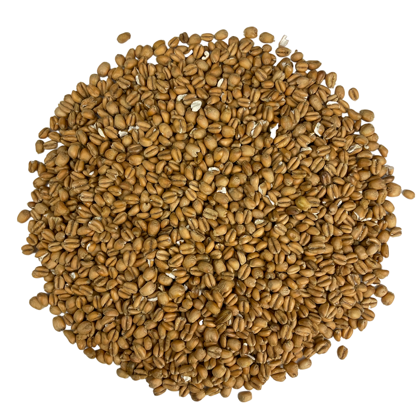 Crisp Torrefied Wheat - 1 oz.
