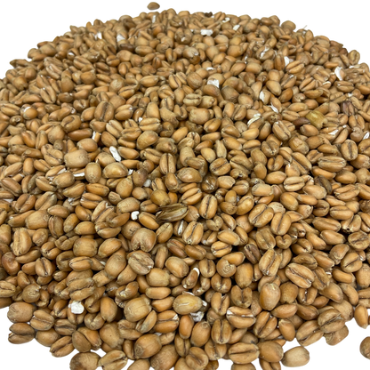Crisp Torrefied Wheat - 1 oz.