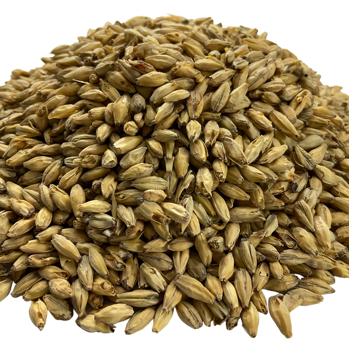 Rahr Standard 6-Row Malt