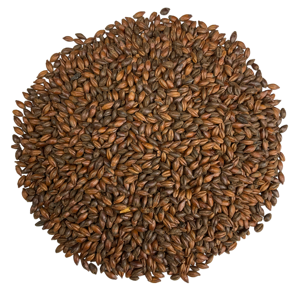 Simpsons Mlg Simpsons Chocolate Malt , Simpsons Export Pale Chocolate Malt – YFZES