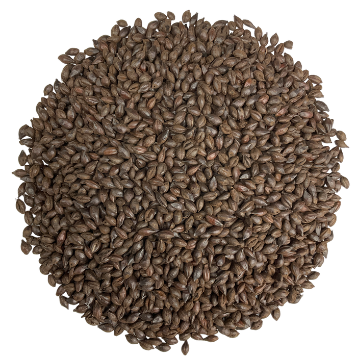 Simpsons Roasted Barley