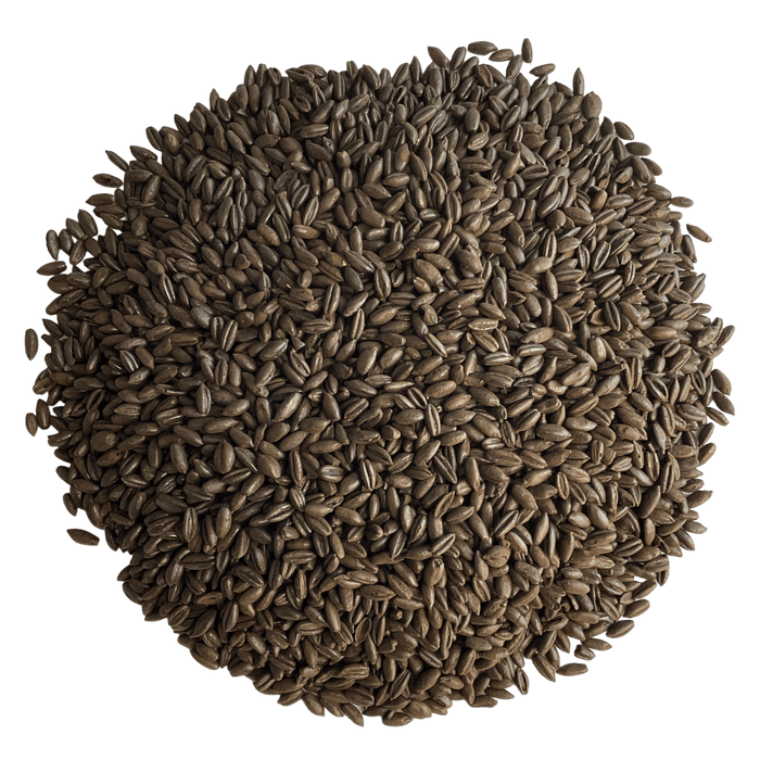 Weyermann® Chocolate Rye Malt