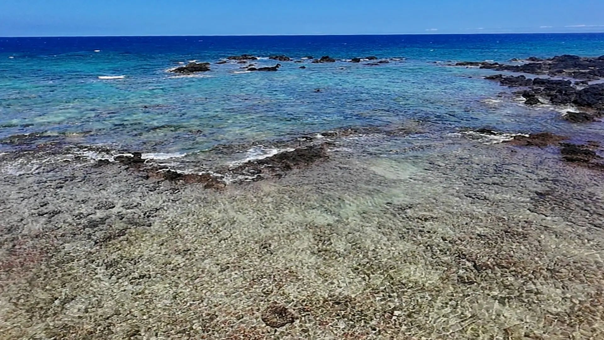 Southern California’s Homebrewing Supply Shop for Fresh Ingredients, Expert Help & Fast Local Service